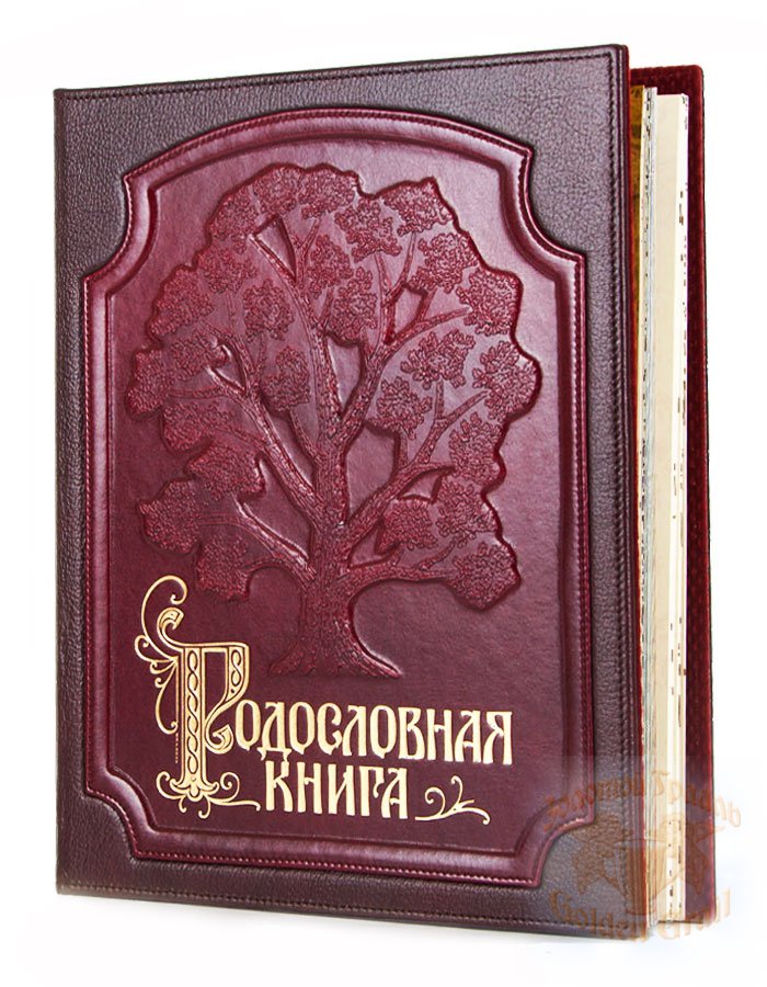 Изысканные книги. Родословная книга в подарок. Родословная книга "изысканная". Родословная книга в подарок на свадьбу с гравировкой. Родословная книга изысканная бордо в коробке/040102010/1.